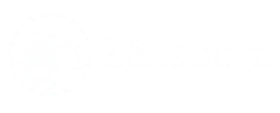 ZêLabora - Seu TCC com Alta Performance
